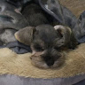 Meet your Posher, Emma-joelle